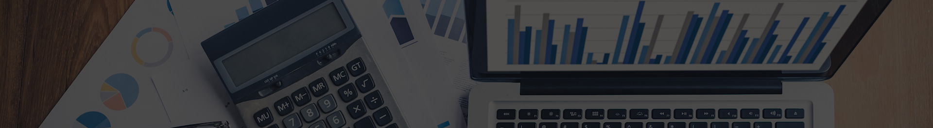 audit-Banner
